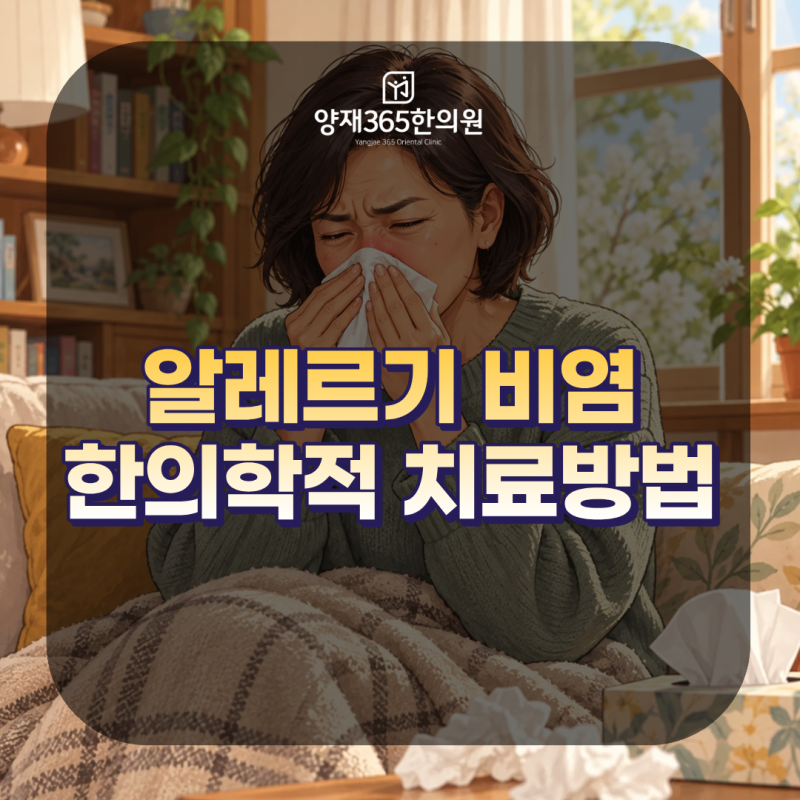교대역 알레르기 비염 항히스타민제 졸음 때문에 포기하셨던 분들께