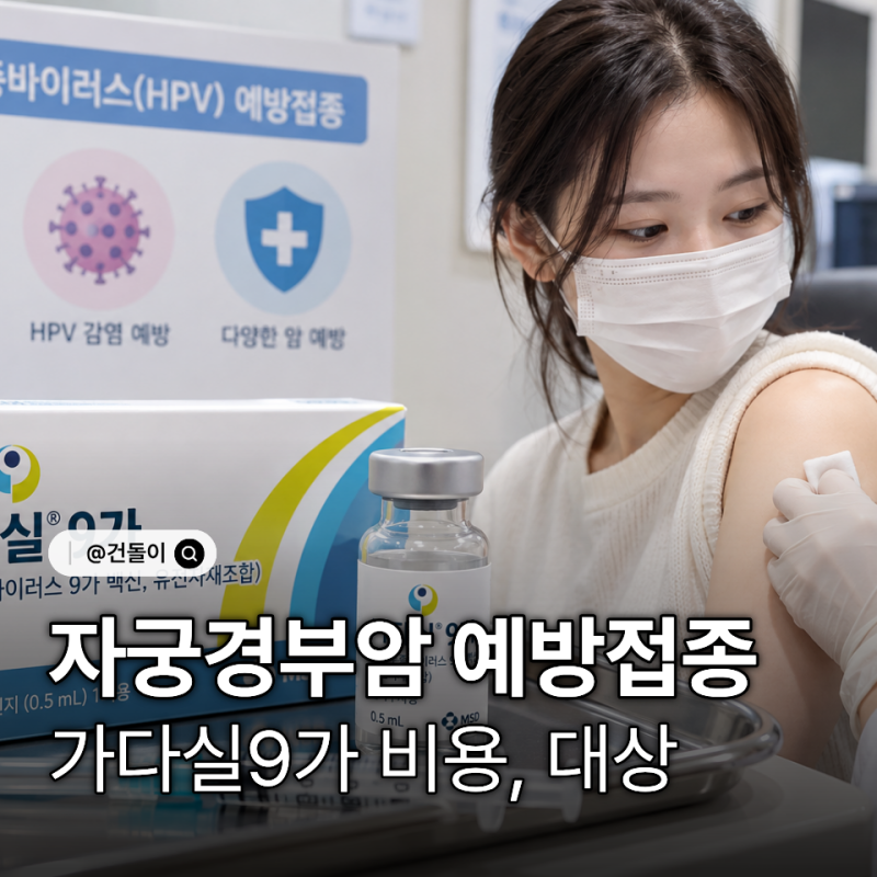 자궁경부암 예방접종 가다실 9가 비용, 접종 대상