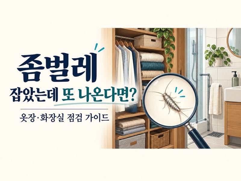 좀벌레 퇴치 방법｜옷장·화장실에 생기는 이유와 잡아도 다시 나오는 원인