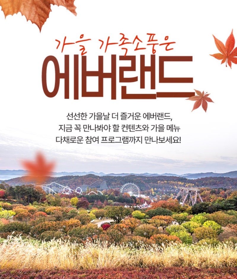 에버랜드 연간이용권 가격 인상 임박, 365 소인권 16만원대 초핫딜