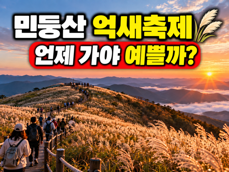 민둥산 억새축제 언제 갈까? 억새 절정시기와 등산코스