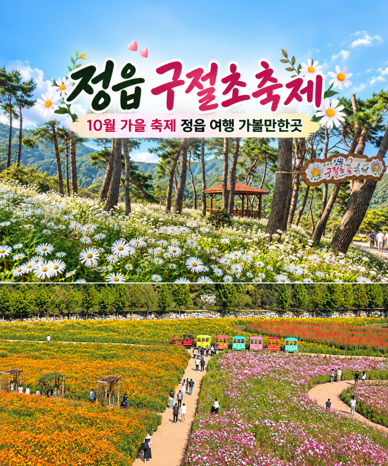 2026 정읍 구절초축제 초대가수 개화시기 정읍 여행 가볼만한곳