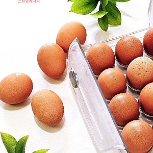 계란 삶는 시간 반숙 완숙 껍질 무조건 잘 까지게 삶는 법