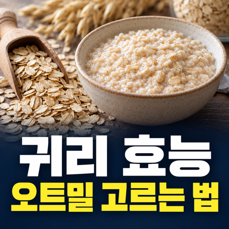 귀리 효능, 오트밀 종류와 베타글루칸 알아보기