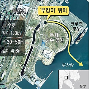 부산 북항 부캉이 위치 어디? 친수공원 수로 12일째 머문 이유 무태상어 물대포 구조작전