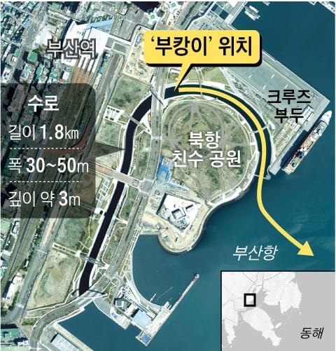 부산 북항 부캉이 위치 어디? 친수공원 수로 12일째 머문 이유 무태상어 물대포 구조작전