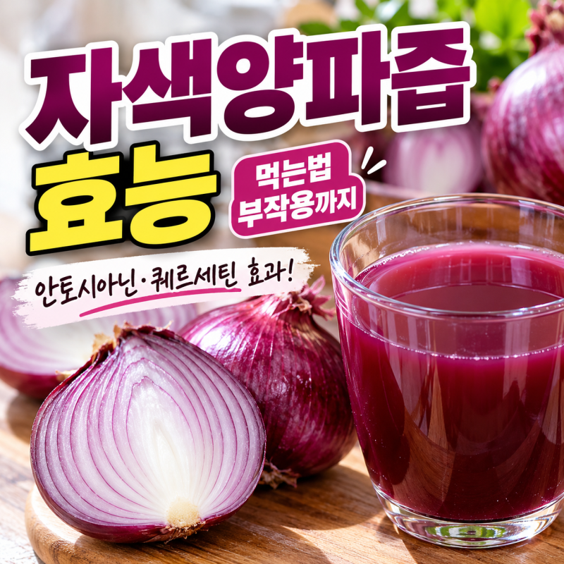 자색양파즙 효능 등 먹는법 부작용 정리
