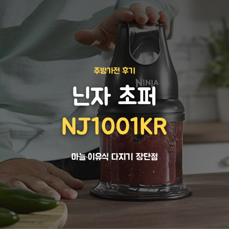 닌자 초퍼 NJ1001KR 장단점, 마늘·이유식 다지기