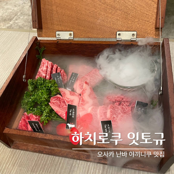 오사카 야끼니꾸 맛집_난바야끼니꾸 하치로쿠 잇토규 와규 모둠 후기