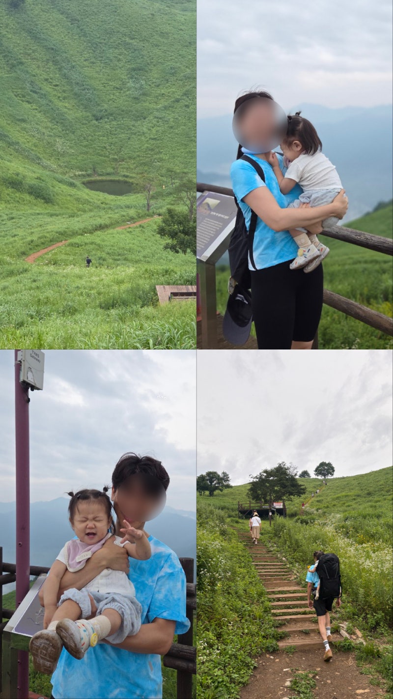 [여행기록] 16개월 아기와 함께한 한국의 스위스 정선 민둥산 돌리네⛰️ / 민둥산억새축제