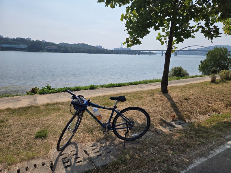 자전거 초보가 궁금했던 로드·하이브리드·MTB 바퀴 차이, 타이어가 얇으면 더 빠를까?