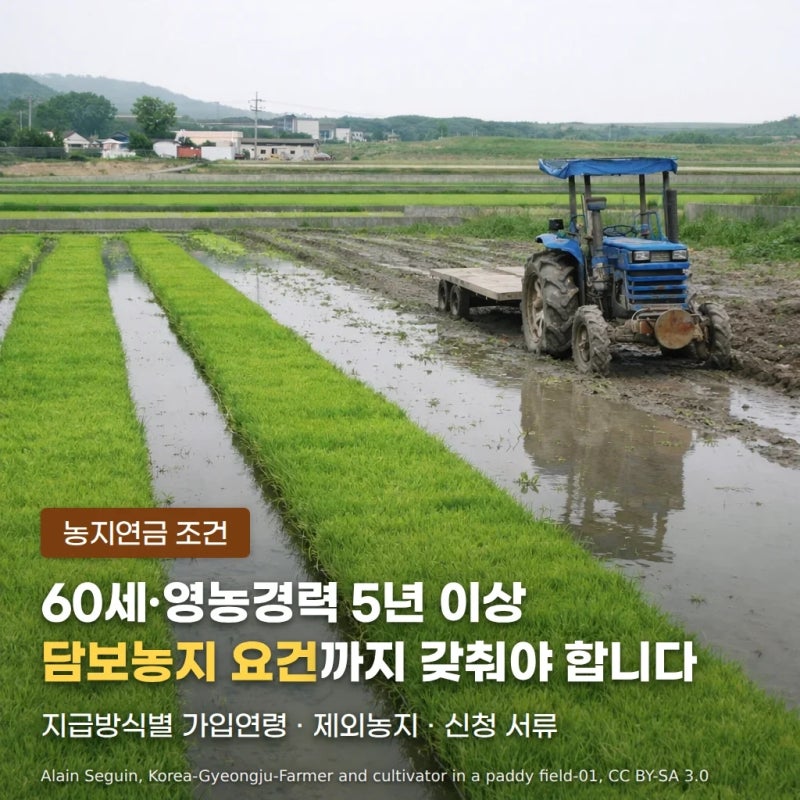 농지연금 조건, 60세·영농경력·담보농지 확인하기