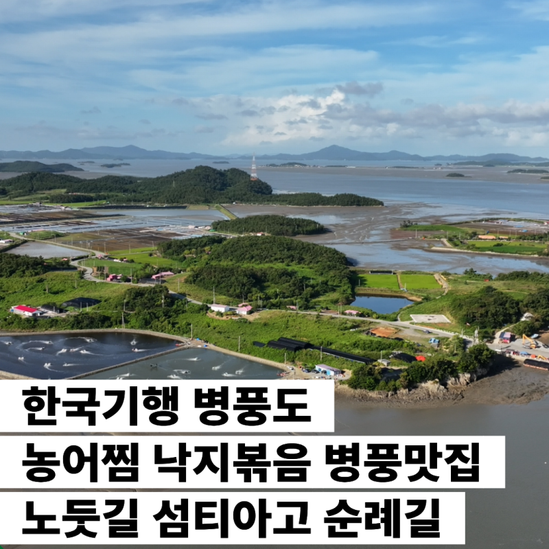 한국기행 병풍도 농어찜 병풍맛집 낙지볶음 노둣길 섬티아고 순례길