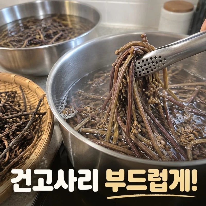 건고사리 불리는 법, 질기지 않게 손질하려면?