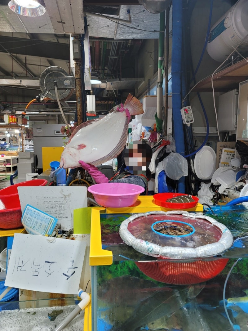 궁평항횟집 대광어 썰어주는 곳 회 수산물센터 안산수산 B동