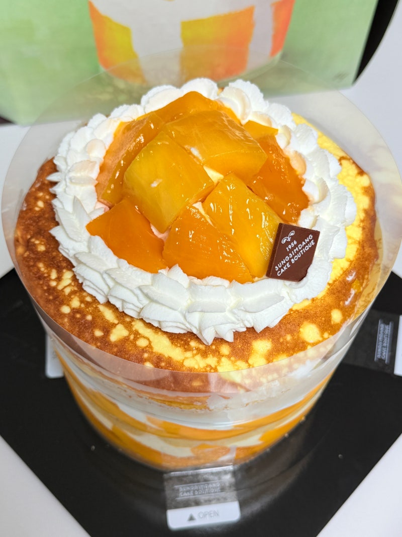 [대전맛집] 대전 성심당 망고시루 솔직후기! 또 먹고 싶은 그리운 맛 (판매기간 & 섭취 팁)