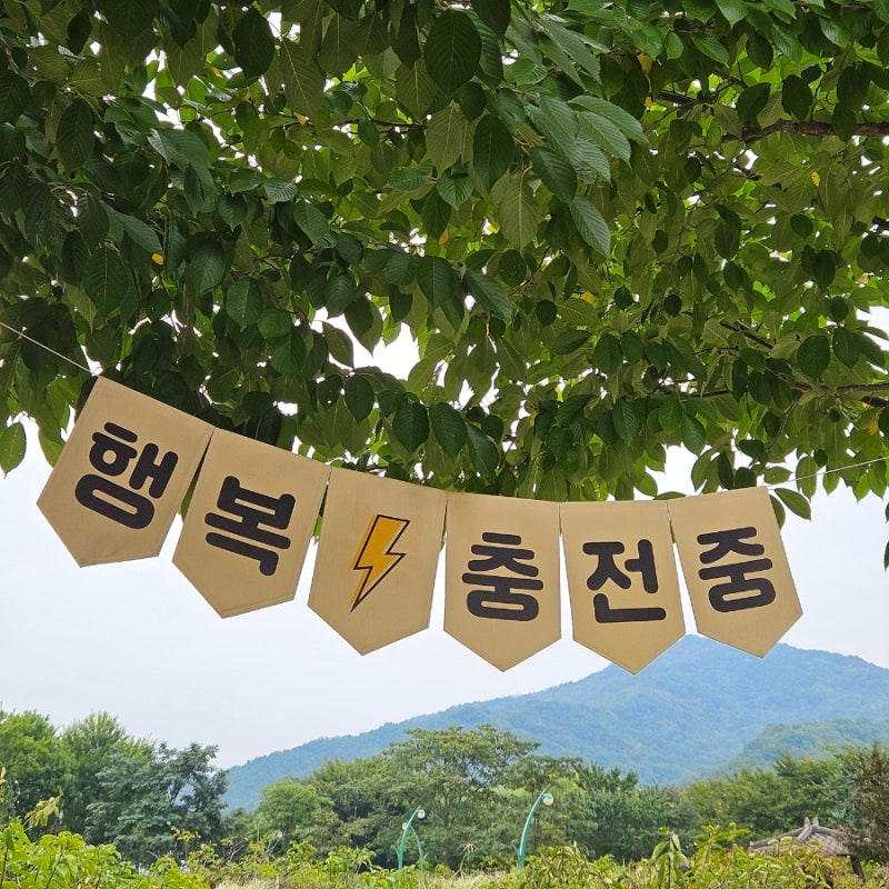 자전거 데이트코스로 딱 좋은 거창 창포원