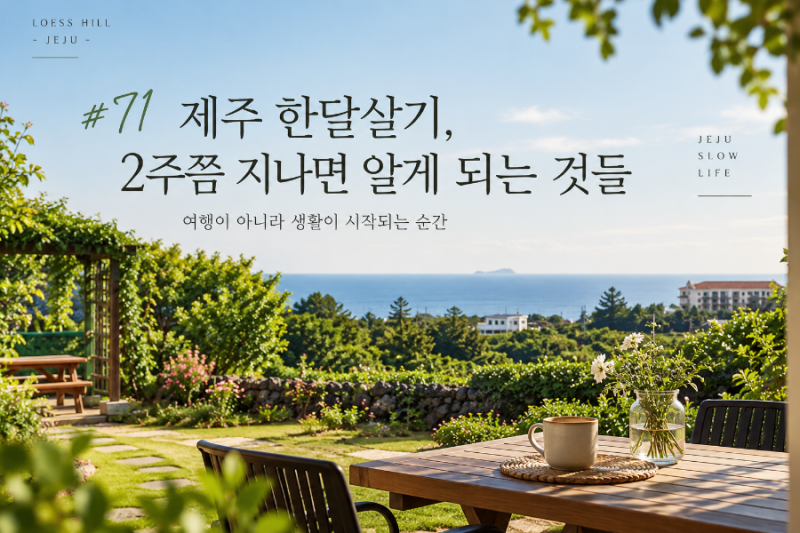 #71 제주 한달살기, 2주쯤 지나면 알게 되는 것들｜여행이 아니라 생활이 시작되는 순간