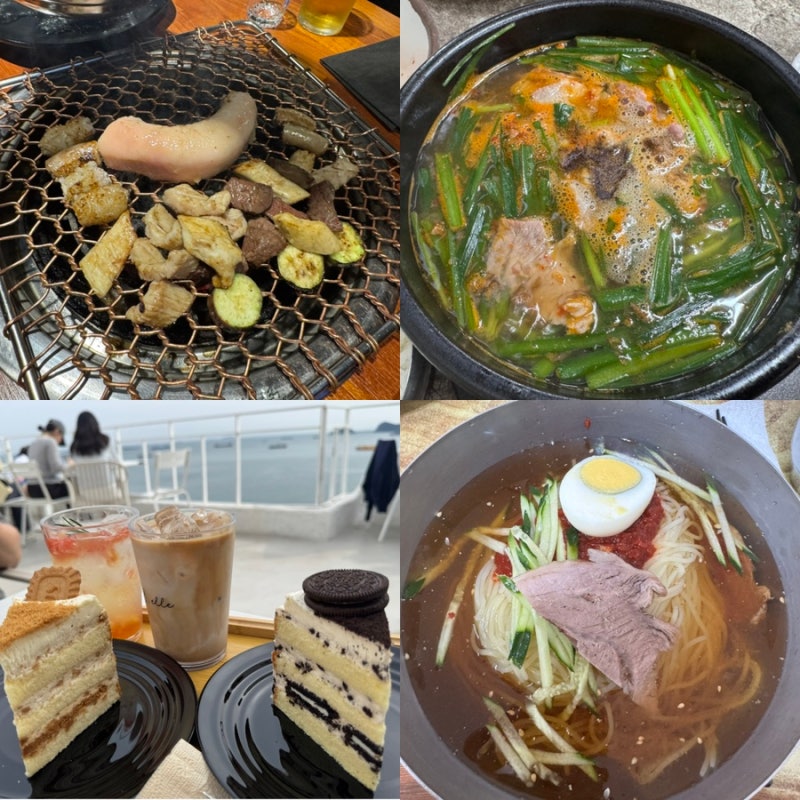 [부산] 해운대, 자갈치시장, 영도, 송정 애견동반식당 리스트, 방문후기, 주차장 (팔팔양대창,....