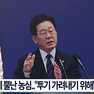 8년 자경 농지 양도세 감면 조건 총정리｜2026년 자경 농지 양도소득세 감면 요건과 주의 사항