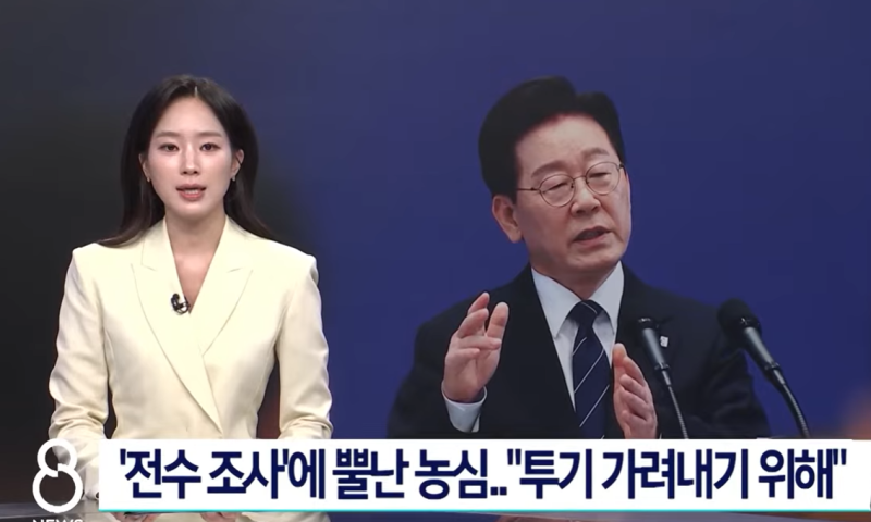 8년 자경 농지 양도세 감면 조건 총정리｜2026년 자경 농지 양도소득세 감면 요건과 주의 사항