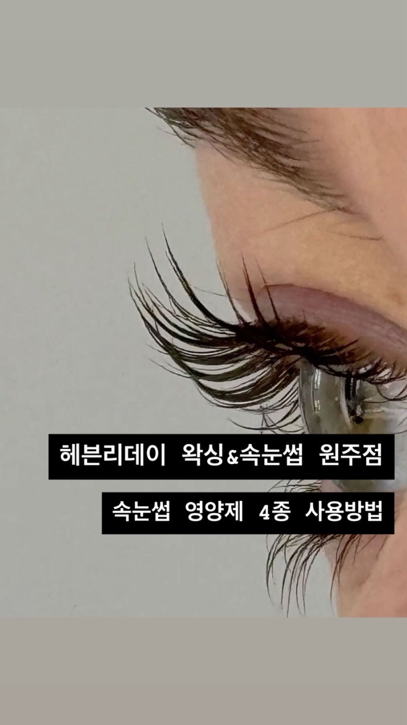 [사용방법] 원주 헤븐리데이 추천 속눈썹 영양제 4종 사용방법