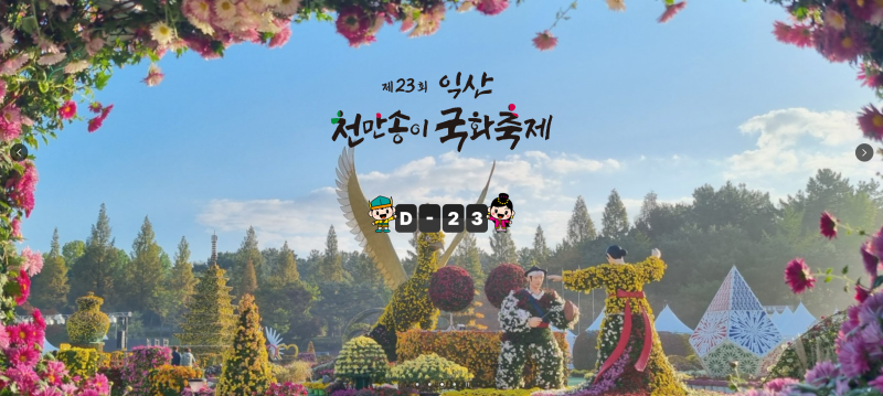 전국 가을 꽃 축제 일정 & 가족 나들이 가볼 만한 곳 BEST 완벽 정리
