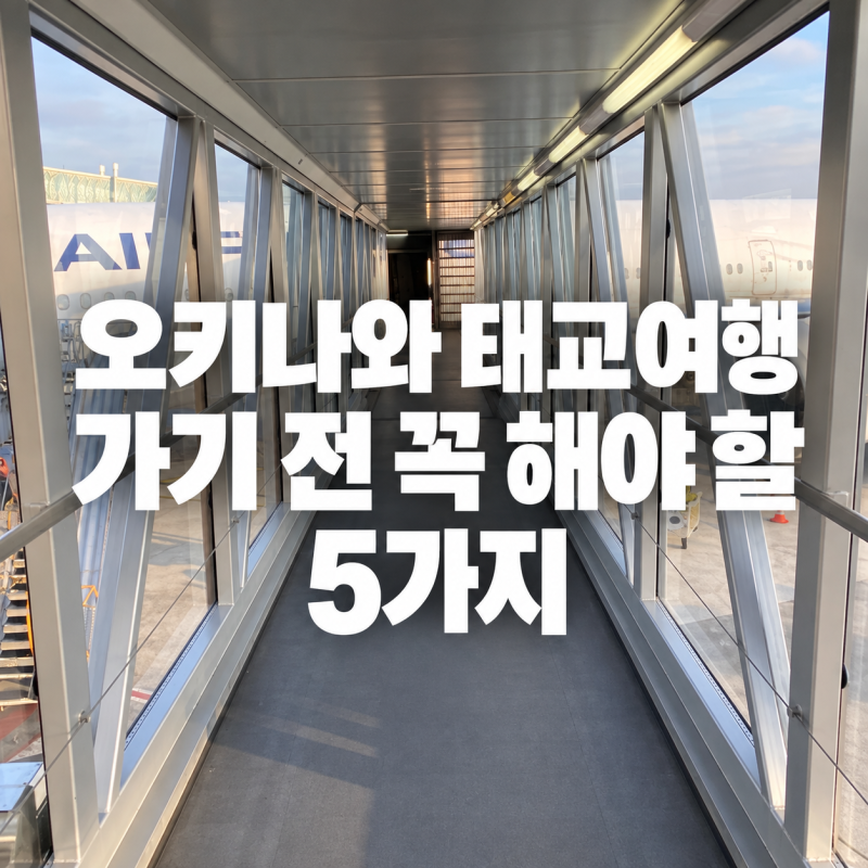 [오키나와 태교여행] 일본 가기 전 꼭 해야 할 것들｜비짓재팬부터 국제면허증까지