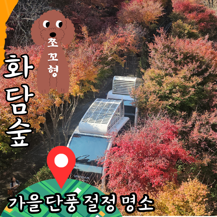 광주 곤지암 화담숲 가을 단풍시기 모노레일 코스 가격 예약 주차 총정리