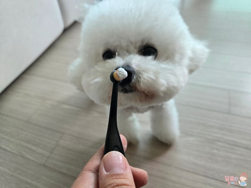 바이오페티스강아지눈물파우더 눈물자국 관리