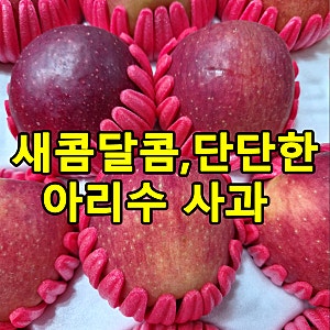 아리수 사과 맛 후기｜홍로와 비교해 본 새콤달콤한 가을 사과