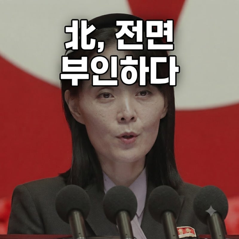 김여정, DMZ 지뢰 사고 놓고 "서울 자작극" 주장, 실사격 땐 보복 경고