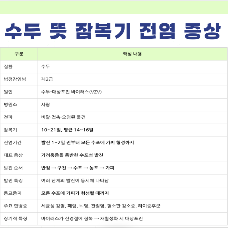수두 뜻 원인바이러스 특징 잠복기 전염 전파 격리 기간 증상 합병증