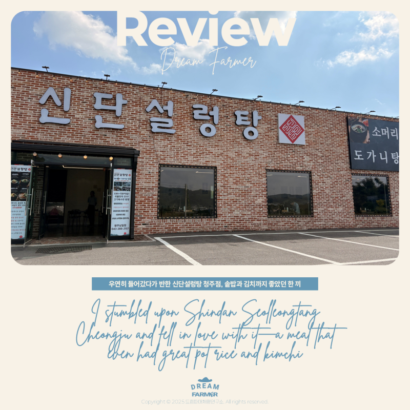 [청남대 가는 길 맛집] 우연히 들어갔다가 반한 신단설렁탕 청주점, 솥밥과 김치까지 좋았던 ....
