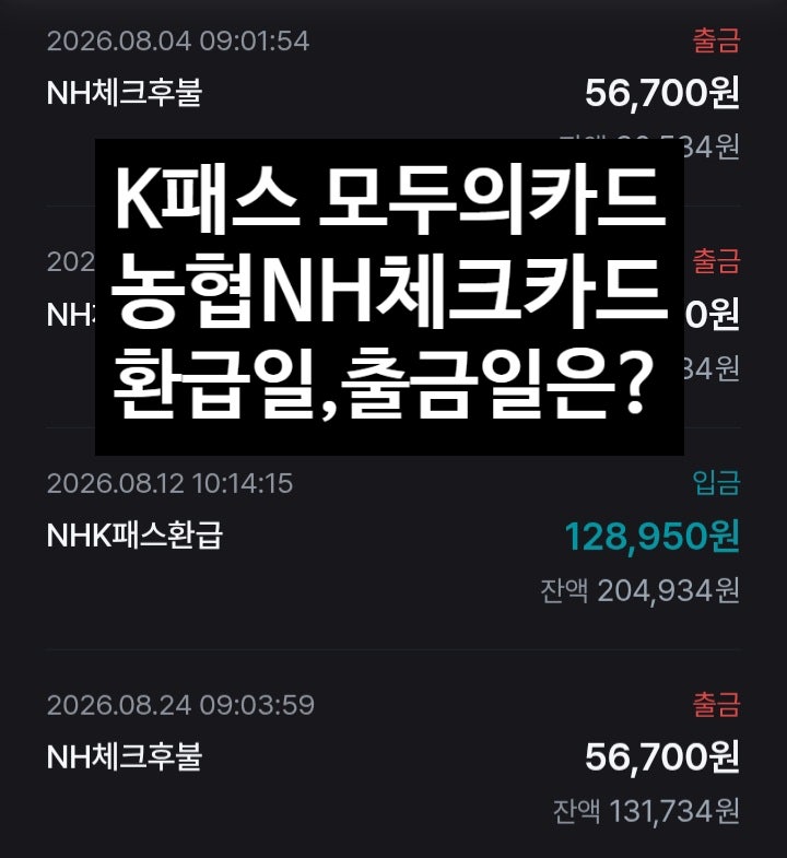 K패스 모두의카드 농협체크교통카드 환급일,출금일은 언제? 26년 6개월간 실제사용기록
