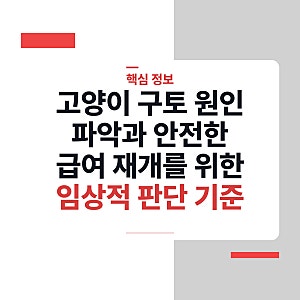 고양이 구토 원인 파악과 안전한 급여 재개를 위한 임상적 판단 기준