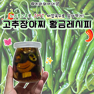 고추장아찌만들기 황금레시피 가성식반찬 풋고추 건강식 반찬거리 서산자연농원