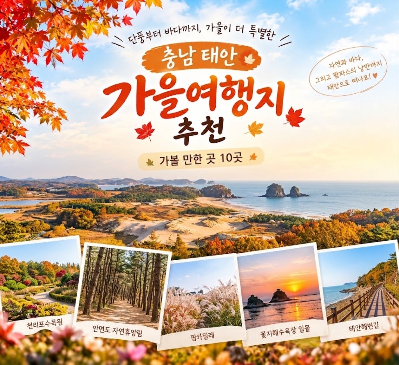 10월 태안 가볼 만한 곳 10곳 가을여행지 추천