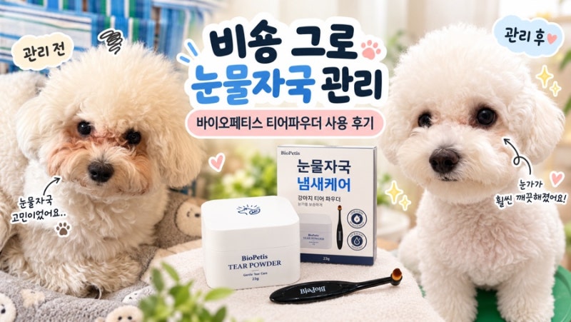 바이오페티스강아지눈물파우더 강아지눈물자국관리 직접 사용해봤어요
