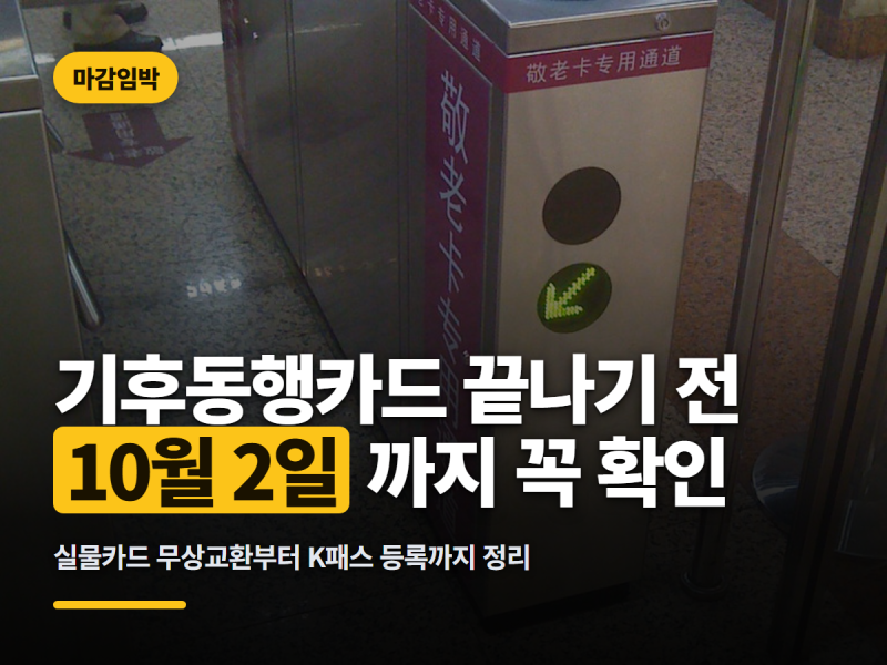 기후동행카드 종료, 지금 당장 해야 할 일 3가지