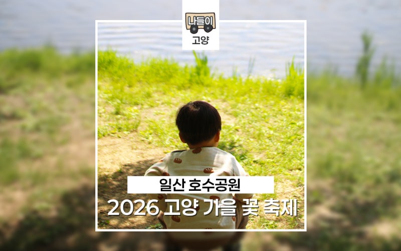 일산 호수공원 아이랑 피크닉 가기 좋은 2026 고양 가을 꽃 축제