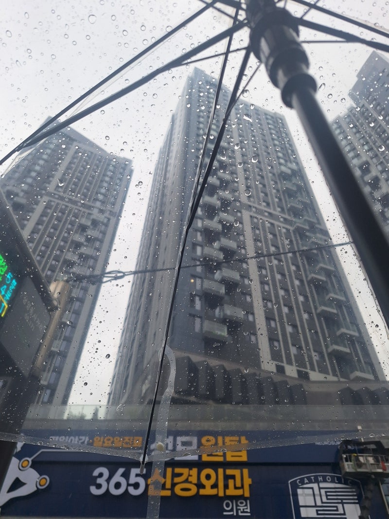 중국 동포 건설 근로자 작업 중 사고! 산재보험부터 근재보험