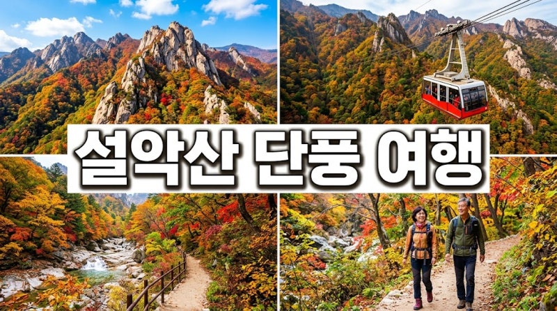 10월 설악산 단풍 절정! 명소부터 케이블카 등산코스 속초 가볼만한곳까지 완벽 정리✨