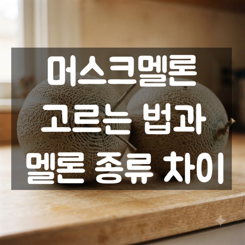 머스크멜론 고르는 법과 멜론 종류 차이