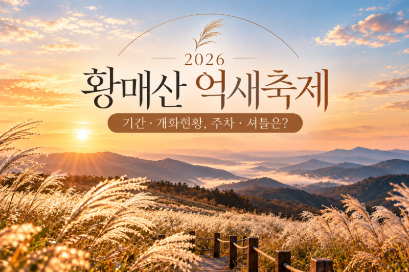 2026 황매산 억새축제 기간·개화현황, 주차·셔틀은?