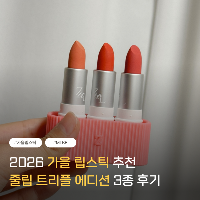 가을 립스틱 추천 3종 보관함 세트, 발색부터 블러셔까지 활용 가능