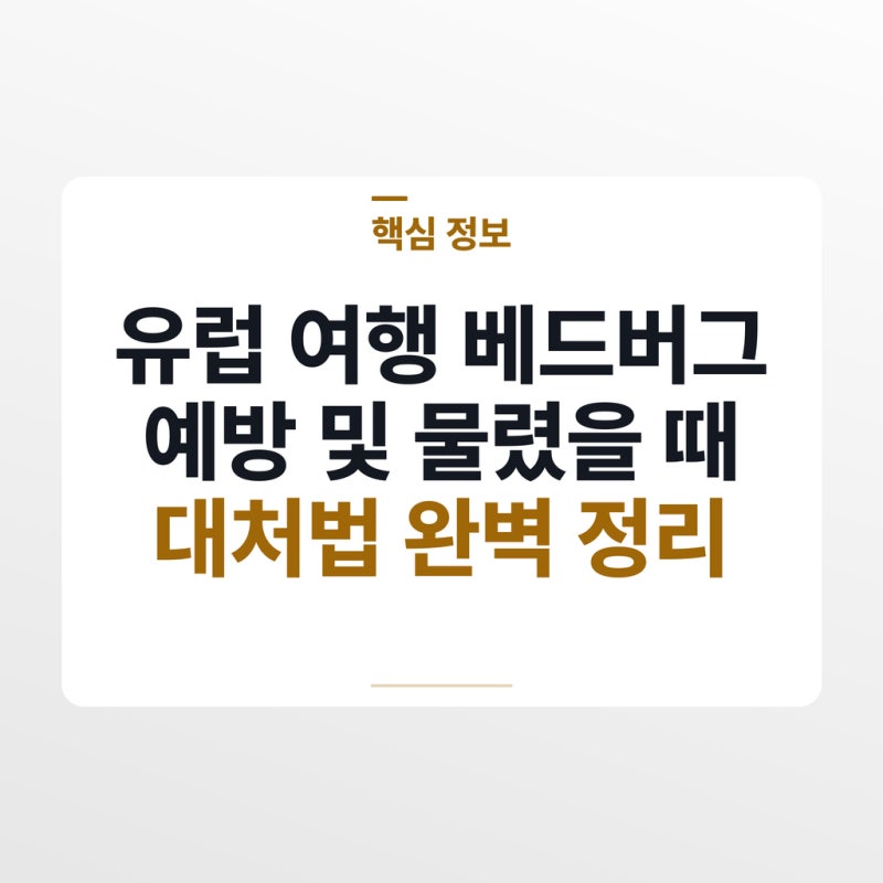 유럽 여행 베드버그 예방 및 물렸을 때 대처법 완벽 정리