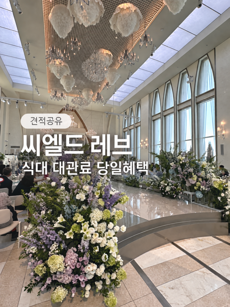 씨엘드 레브 견적공유: 27년 식대 대관료 당일혜택| 대전 밝은홀추천| 블루 화이트 채광 가득 ....