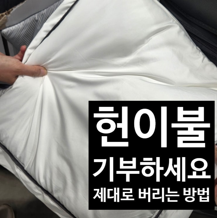 헌이불 버리는 법, 의류수거함 넣었다가 과태료 물 수도? (종류별 배출 꿀팁 & 유기견 보호소 ....