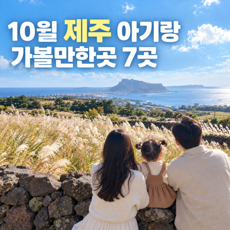 10월 제주 아기랑 가볼만한곳 가을여행 7곳